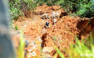 Severe Landslide at Da Lat's Ta Nung Pass Damages Infrastructure - image 1