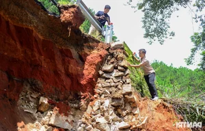 Severe Landslide at Da Lat's Ta Nung Pass Damages Infrastructure - image 0