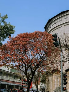 Hang Dau Water Tower: A European-Style Architectural Gem in the Heart of Hanoi - image 9