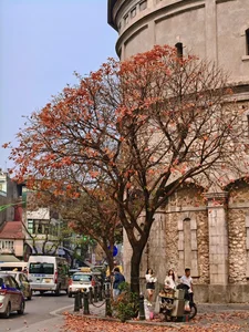 Hang Dau Water Tower: A European-Style Architectural Gem in the Heart of Hanoi - image 5