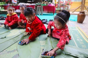 Bringing Hope and Joy: The Historic 'Tet of Hope' Program Reaches Nghe An Highlands - image 2