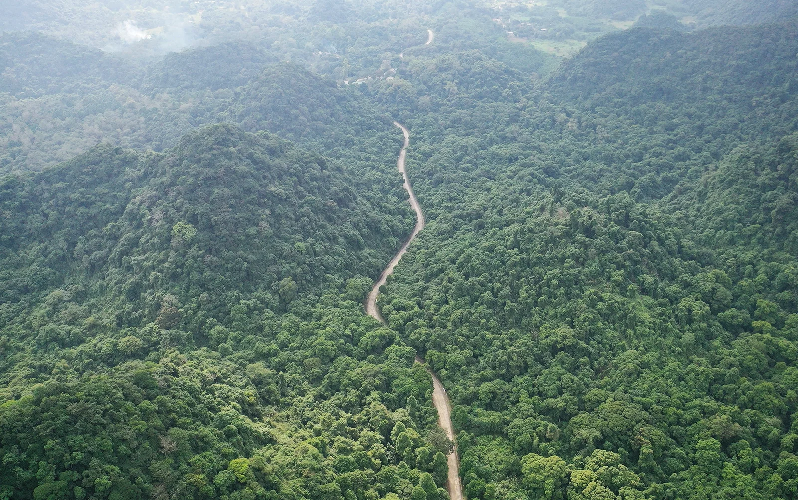 Ultimate 2024 Guide to Cuc Phuong National Park: Travel Tips, Food, and Activities
