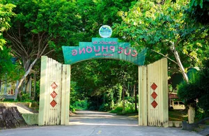 Ultimate 2024 Guide to Cuc Phuong National Park: Travel Tips, Food, and Activities - image 6
