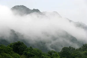 Ultimate 2024 Guide to Cuc Phuong National Park: Travel Tips, Food, and Activities - image 9