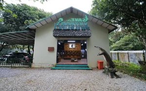 Ultimate 2024 Guide to Cuc Phuong National Park: Travel Tips, Food, and Activities - image 4