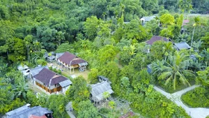 Ultimate 2024 Guide to Cuc Phuong National Park: Travel Tips, Food, and Activities - image 8