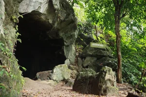 Ultimate 2024 Guide to Cuc Phuong National Park: Travel Tips, Food, and Activities - image 12