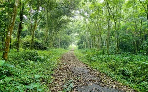 Ultimate 2024 Guide to Cuc Phuong National Park: Travel Tips, Food, and Activities - image 3