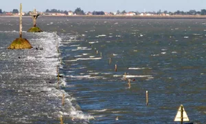 The Mysterious Disappearing Road: Exploring the Passage du Gois and Nature's Tidal Wonders - image 5