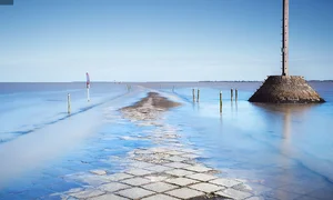 The Mysterious Disappearing Road: Exploring the Passage du Gois and Nature's Tidal Wonders - image 3