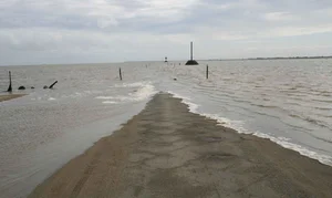 The Mysterious Disappearing Road: Exploring the Passage du Gois and Nature's Tidal Wonders - image 9