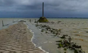 The Mysterious Disappearing Road: Exploring the Passage du Gois and Nature's Tidal Wonders - image 10