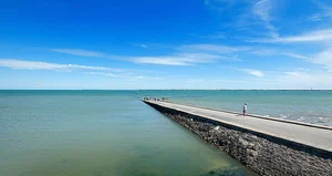 The Mysterious Disappearing Road: Exploring the Passage du Gois and Nature's Tidal Wonders - image 0