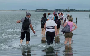 The Mysterious Disappearing Road: Exploring the Passage du Gois and Nature's Tidal Wonders - image 2