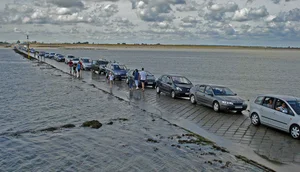 The Mysterious Disappearing Road: Exploring the Passage du Gois and Nature's Tidal Wonders - image 6