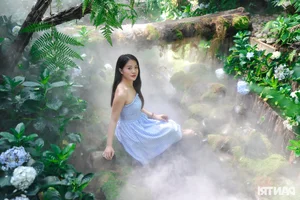 Stunning Garden Cafes in Ho Chi Minh City Attract Thousands of Visitors - image 12