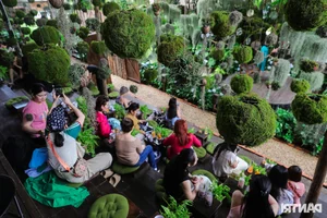Stunning Garden Cafes in Ho Chi Minh City Attract Thousands of Visitors - image 10