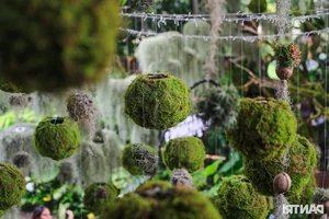 Stunning Garden Cafes in Ho Chi Minh City Attract Thousands of Visitors - image 7