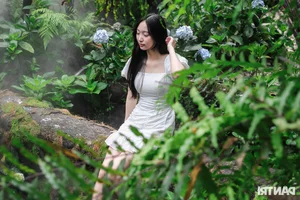 Stunning Garden Cafes in Ho Chi Minh City Attract Thousands of Visitors - image 1