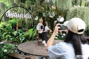 Stunning Garden Cafes in Ho Chi Minh City Attract Thousands of Visitors - image 8