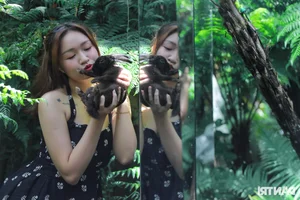 Stunning Garden Cafes in Ho Chi Minh City Attract Thousands of Visitors - image 0