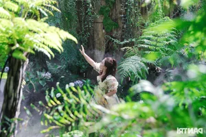Stunning Garden Cafes in Ho Chi Minh City Attract Thousands of Visitors - image 2