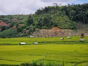 The Golden Harvest of Mang Den: Traditions of the Mo Nam People - image 8