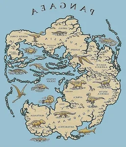 Unlocking the Secrets of Pangea: The Earth's Ancient Supercontinent - image 7