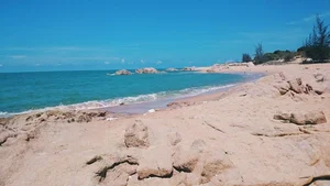 Top 9 Hidden and Beautiful Beaches in Vung Tau You Need to Visit - image 1