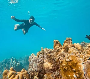 Summer Escape: Discovering the Pristine Beauty of Cu Lao Cau Island - image 8
