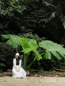 Tourists Flock to Cuc Phuong Forest to Check-in with the Giant Rattan Plant - image 0