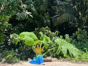 Tourists Flock to Cuc Phuong Forest to Check-in with the Giant Rattan Plant - image 4