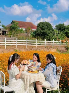 Young Woman Transforms Moc Chau Land into Fairytale Garden - image 6