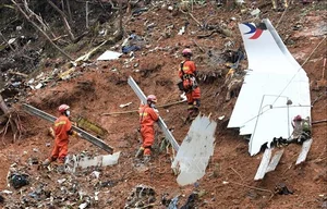 Close-Up Look at the Boeing 737 Aircraft Model Following the Recent Incident in South Korea - image 8