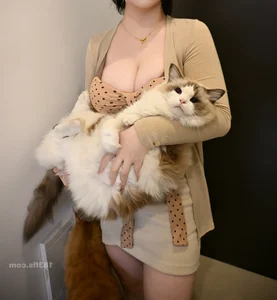 Yi Zhi Mao Mao Mao February 2026 Exclusive Gallery - image 2