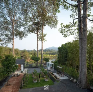 Couple Builds Stunning Resort-Style Forest Home After Leaving City Life - image 11