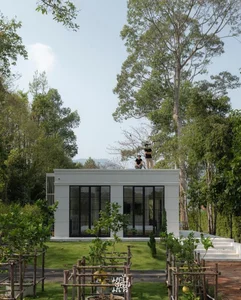 Couple Builds Stunning Resort-Style Forest Home After Leaving City Life - image 5
