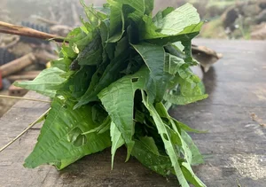From Foraged Wild Plant to Urban Delicacy: The Rise of a Forgotten Food - image 5