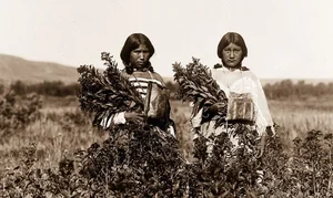 Rare Photos Reveal Native American Life 100 Years Ago - image 13