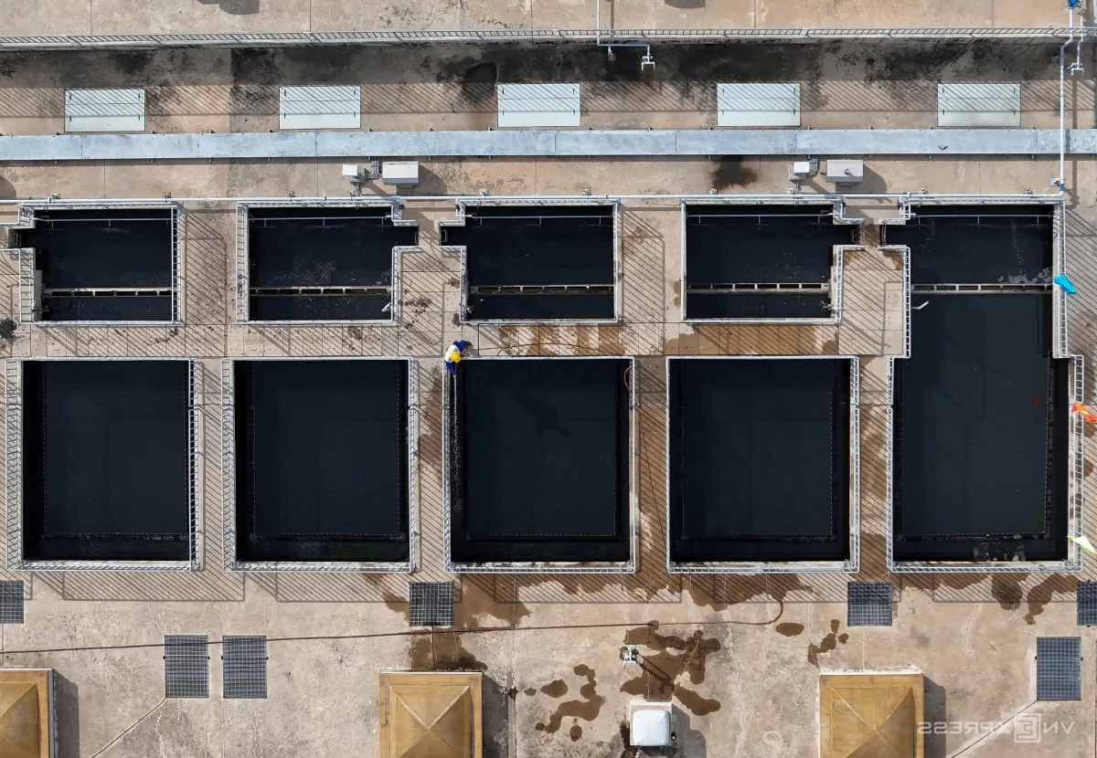 Inside Ho Chi Minh City's Largest Wastewater Treatment Plant