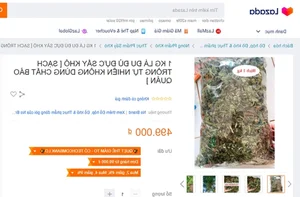 5 Common Vietnamese Leaves That Are Now High-Value Exports Worldwide - image 2