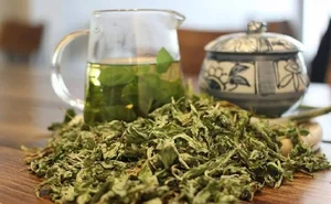 5 Common Vietnamese Leaves That Are Now High-Value Exports Worldwide - image 0