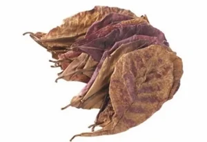 5 Common Vietnamese Leaves That Are Now High-Value Exports Worldwide - image 6