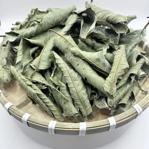 5 Common Vietnamese Leaves That Are Now High-Value Exports Worldwide - image 1