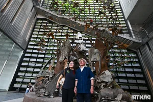 Exploring the Vietnam Military History Museum: A Journey Through War Memories - image 7