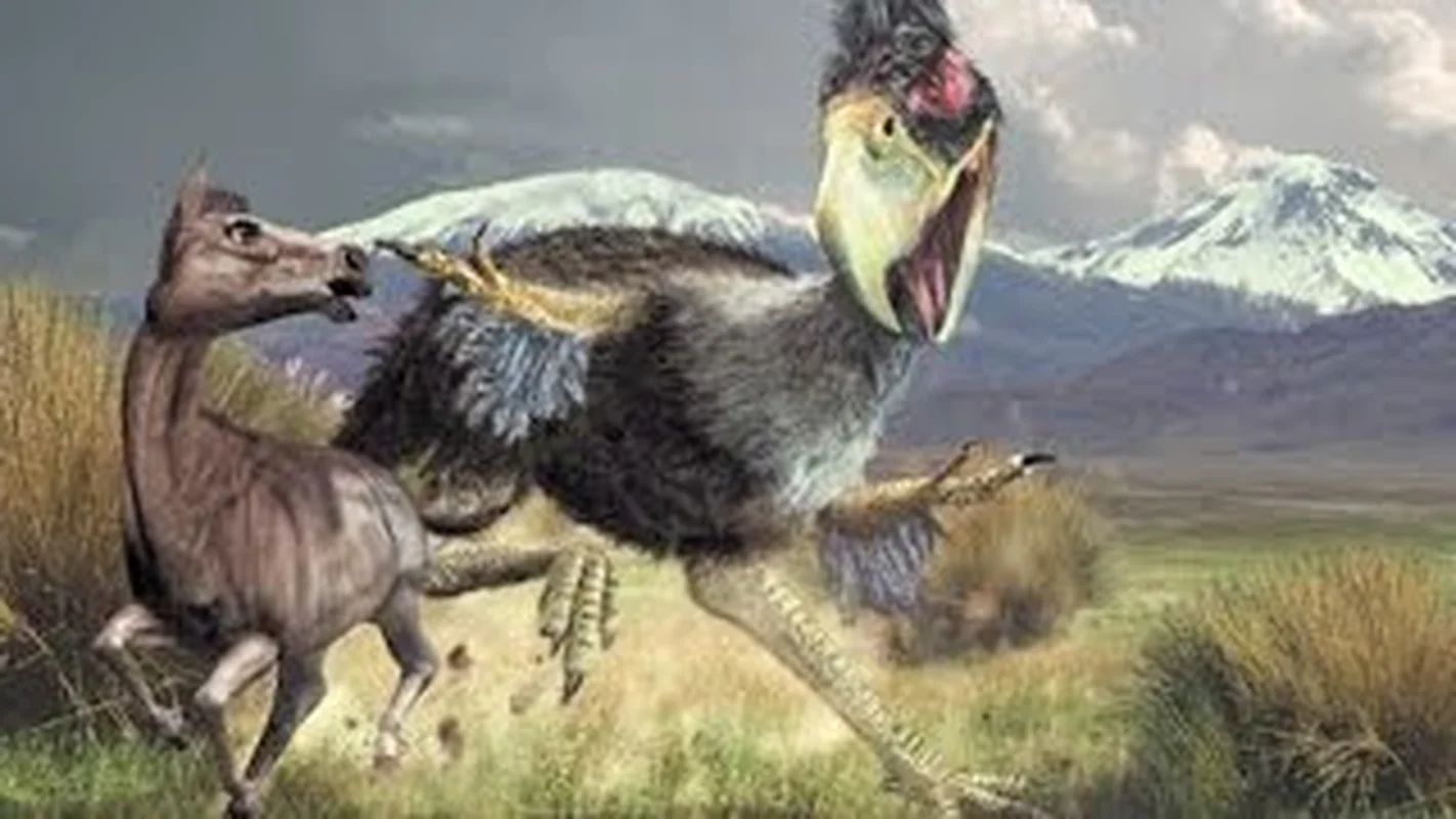 The Reign of Terror: Discovering the Largest Terror Bird to Ever Walk the Earth