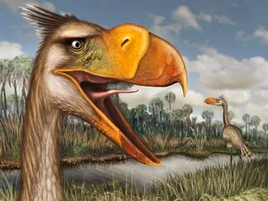 The Reign of Terror: Discovering the Largest Terror Bird to Ever Walk the Earth - image 3