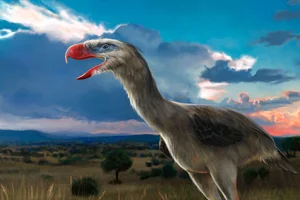 The Reign of Terror: Discovering the Largest Terror Bird to Ever Walk the Earth - image 6