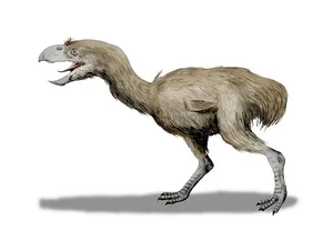 The Reign of Terror: Discovering the Largest Terror Bird to Ever Walk the Earth - image 5