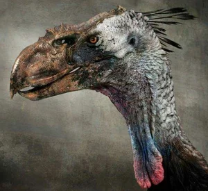 The Reign of Terror: Discovering the Largest Terror Bird to Ever Walk the Earth - image 7